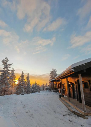 Rukan Tunturipöllö Kuusamo